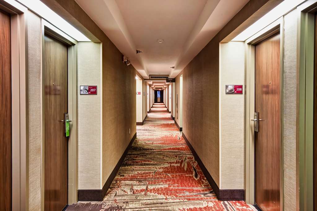 Hampton Inn Старквил Интериор снимка